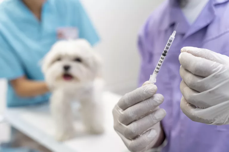 puppy-vaccination